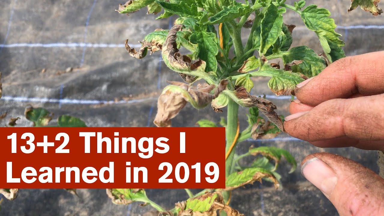 13+2 Things I Learned In 2019