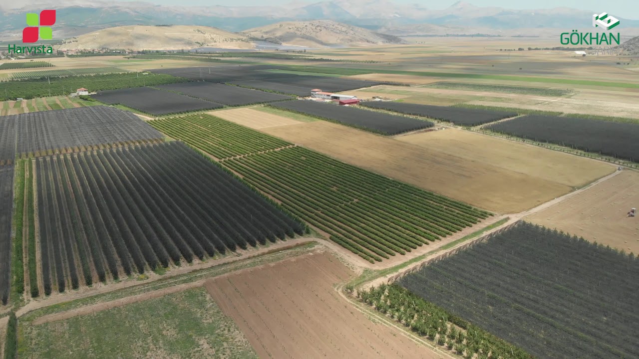 Ali Bayındır & AgroFresh