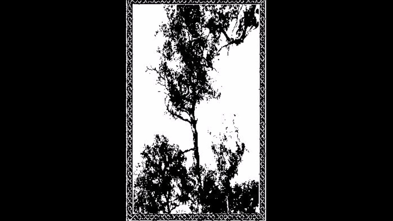 Forest Grave (UK) / Ostots (ES) 2010 Full split
