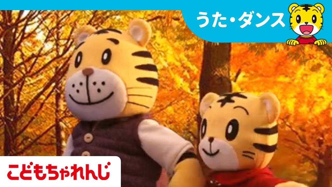 【童謡】どんぐりころころ｜子供の歌｜【しまじろうチャンネル公式】
