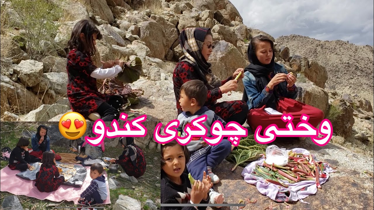 🌷🌷🌷چوکری کندن رفته بودیم در کوه قبلیتو