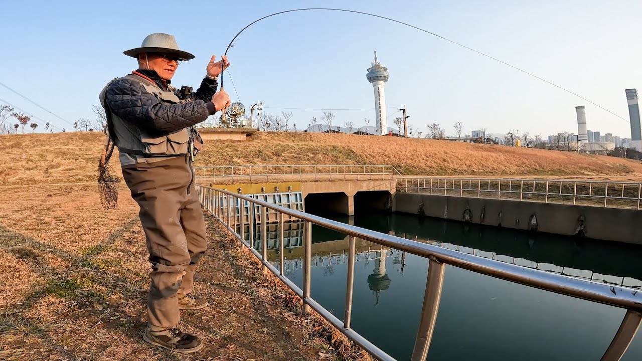 2025 fly fishing EP1 - 놓친 물고기는 항상 크다 . (Carp On The Fly 잉어 플라이 낚시) with CLOVA Dubbing
