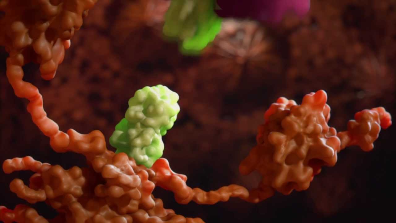Life in Miniature: Our Secret War Against Cancer
