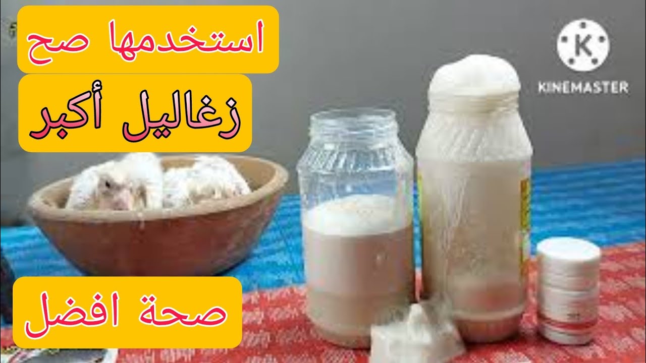 الخميرة لو استخدمتها صح زغلول الحمام هايكبر ويفور  زى الخميرة مجربة عملى