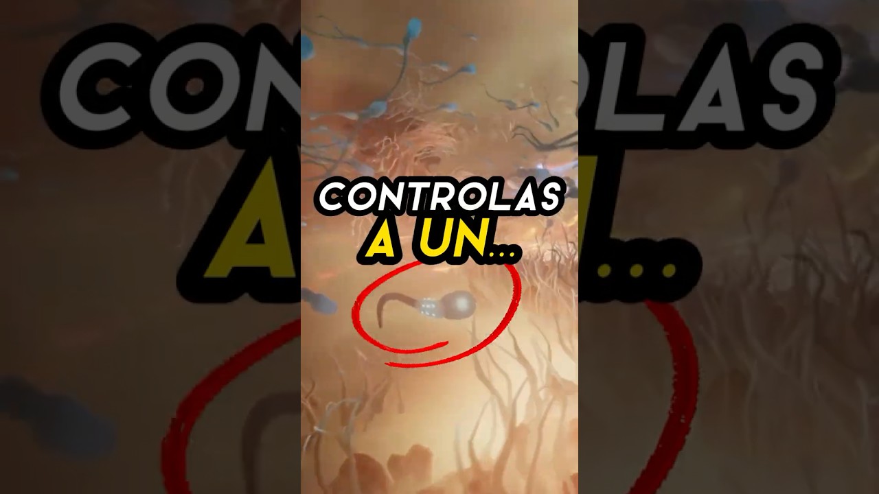 &iquest;De verdad han hecho un juego DE ESTO? 😳 #juegoscuriosos #juegosraros #becomegame #steam #gaming