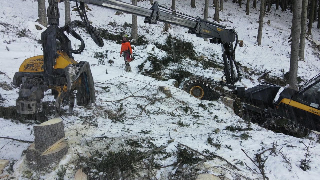 #Logging 🌲 POWERCUTTING # 🌲 Ponsse Bear 🌲 MS500i 🌲