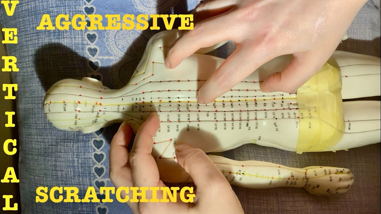 ASMR|⚠️EXTREME FAST AGGRESSIVE BACK SCRATCHING ON MY ACUPUNCTURE DOLL  VERTICAL MODE. SOFT SPEAKING