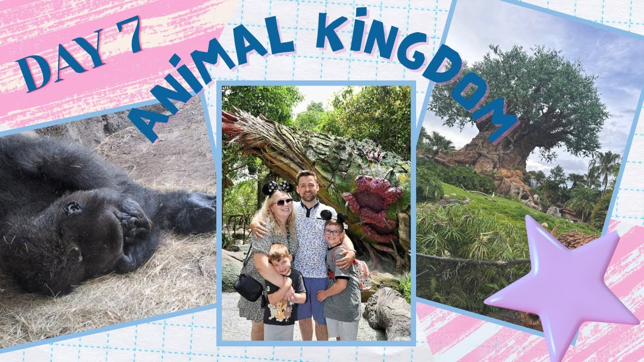 Disney Day 7 | Animal Kingdom | Chick-Fil-A 