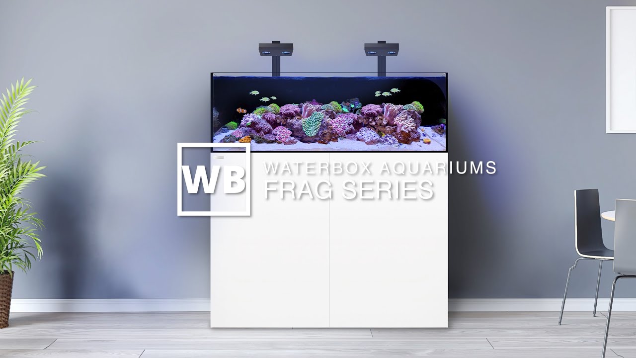 Waterbox Aquariums FRAG Overview