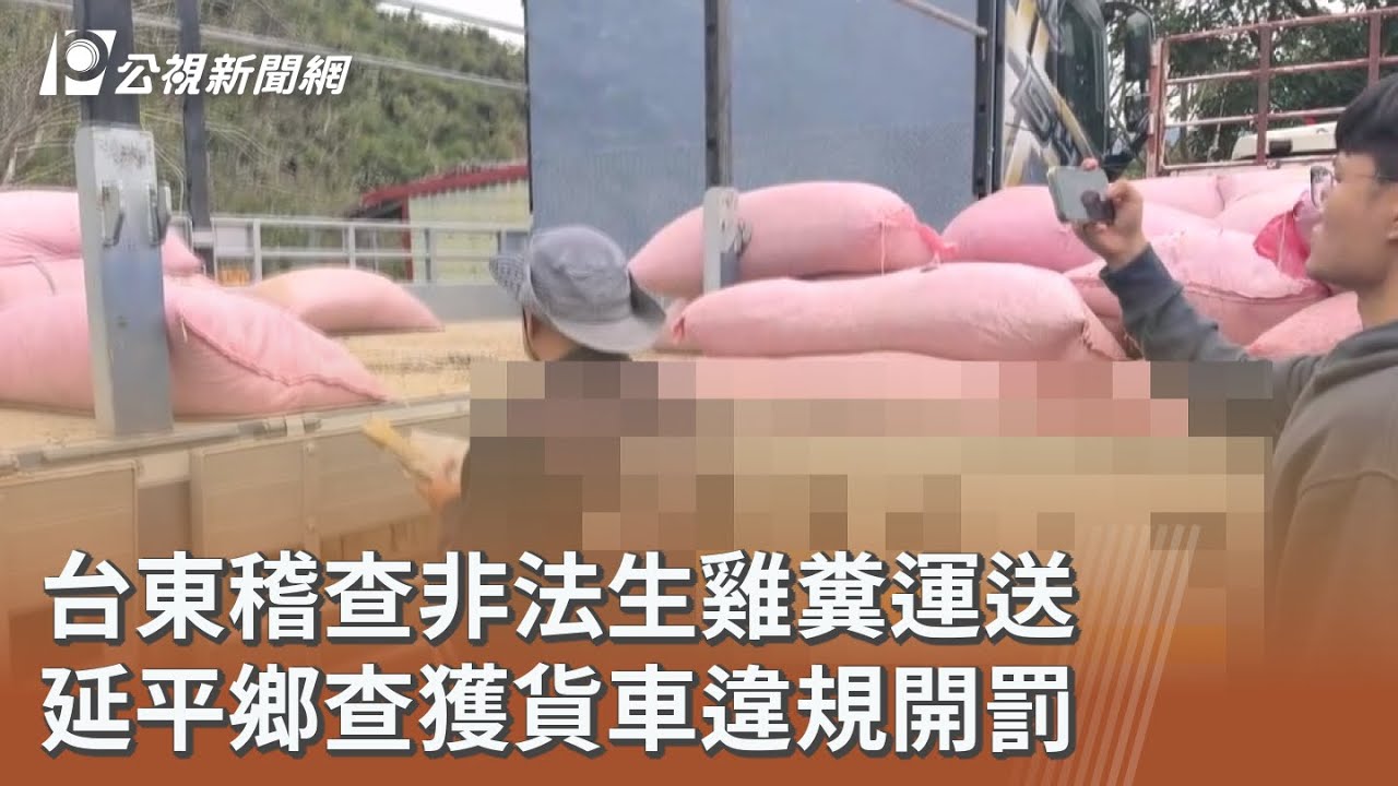 台東稽查非法生雞糞運送 延平鄉查獲貨車違規開罰｜20260203 公視午間新聞