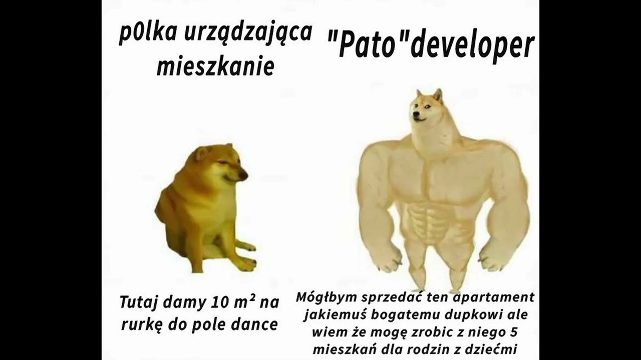 Patodeweloper vs polka
