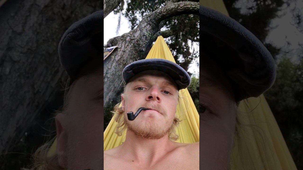 I put my Hammock in a Big Ass Tree 🌴