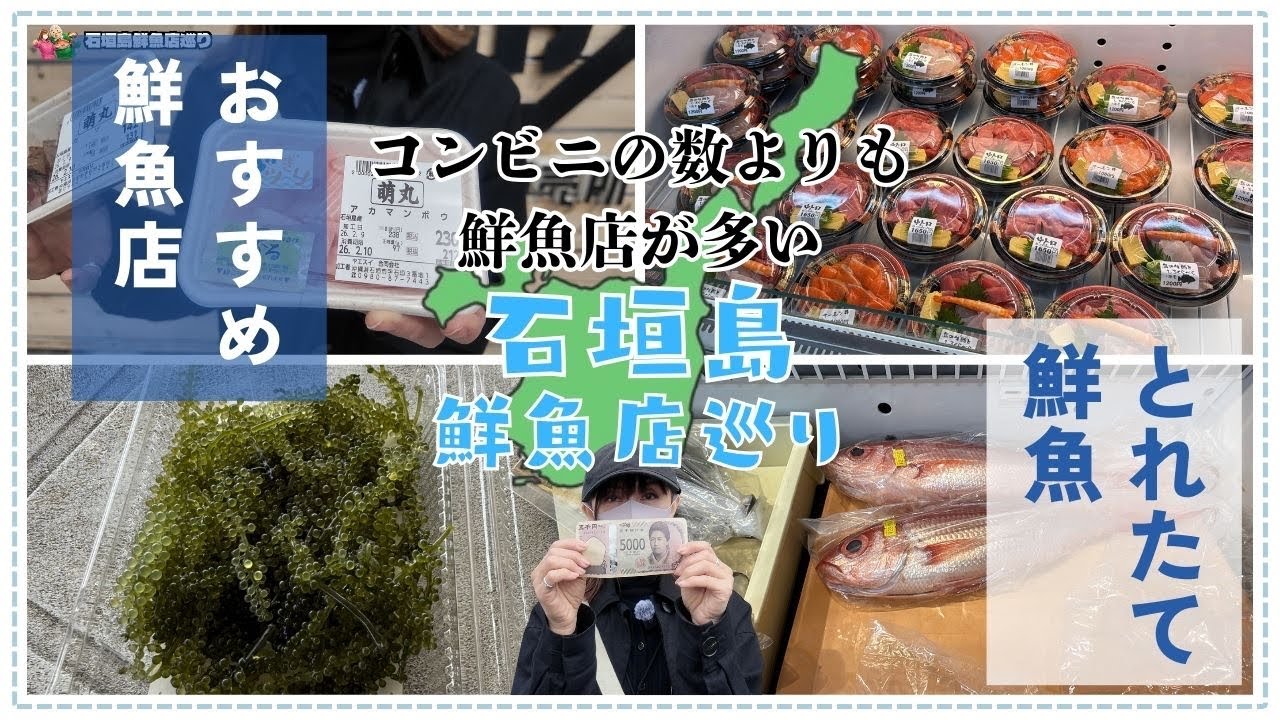 【石垣島Vlog】コンビニの数よりも鮮魚店が多い！？日本最西端の都会『石垣島』で爆食い！鮮魚店巡り！ #海鮮市場#グルメ#海鮮