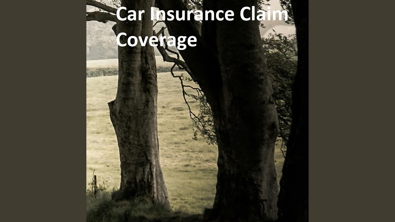 Car Insurance Claim Coverage