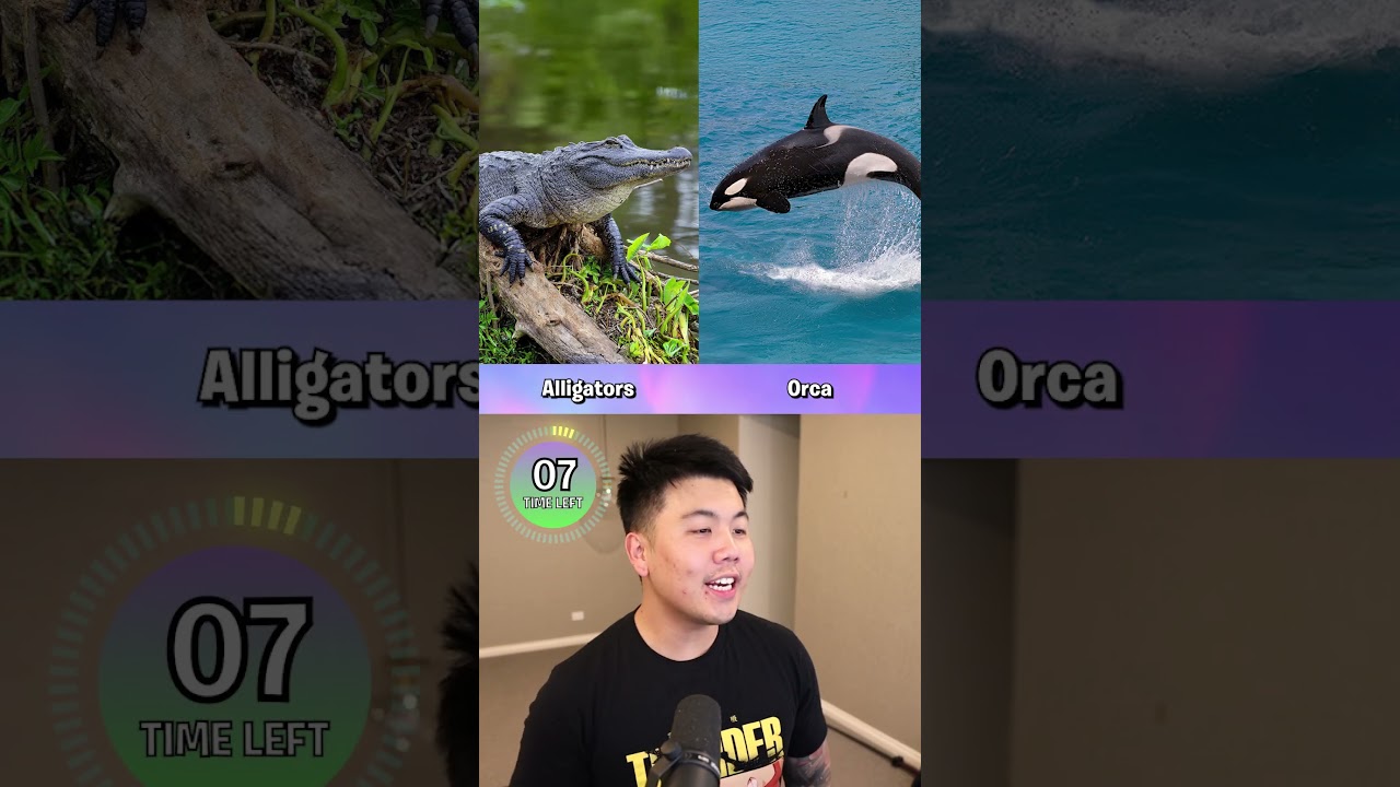 Which ANIMAL is more DANGEROUS?