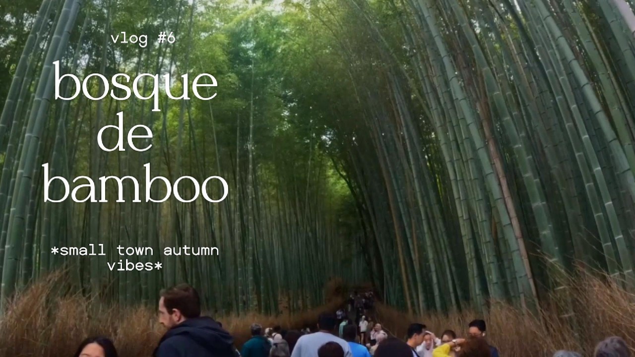 KIOTO: El Pabellón Dorado y el Bosque de Bambú  🇯🇵 | Japón Día 6