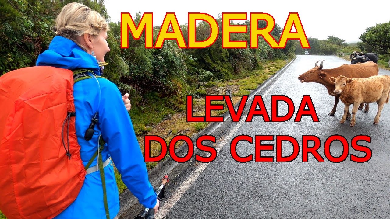 Madera. Lewada Dos Cedros. Trekking po p&oacute;łnocnej części wyspy 4K