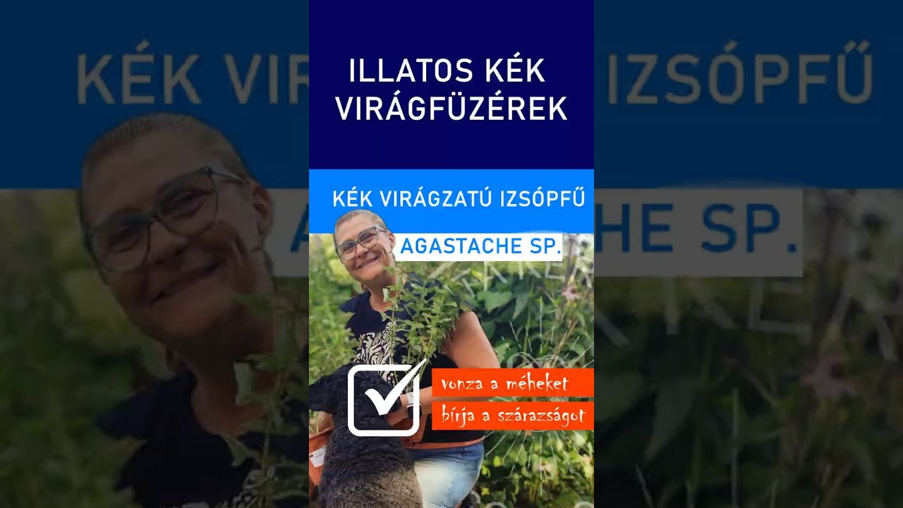 Illatos K&eacute;k Vir&aacute;gf&uuml;z&eacute;rek #ritakertje