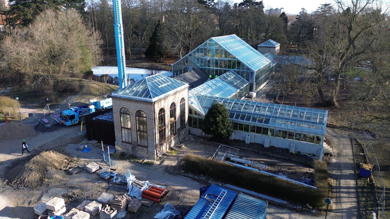 Projekt pågår - Palmhuset i Lunds universitets botaniska trädgård