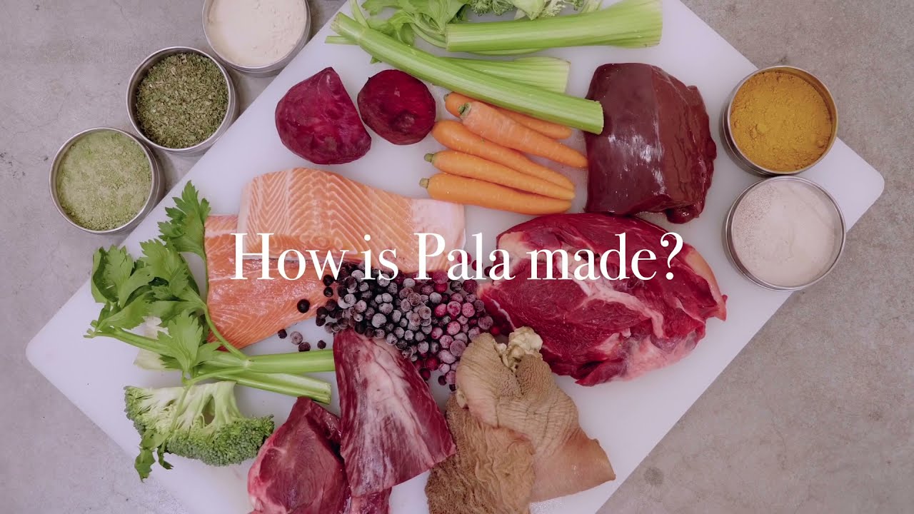 How is Pala Made? 🐶 | Air-Dried Raw Food for Dogs 🐾