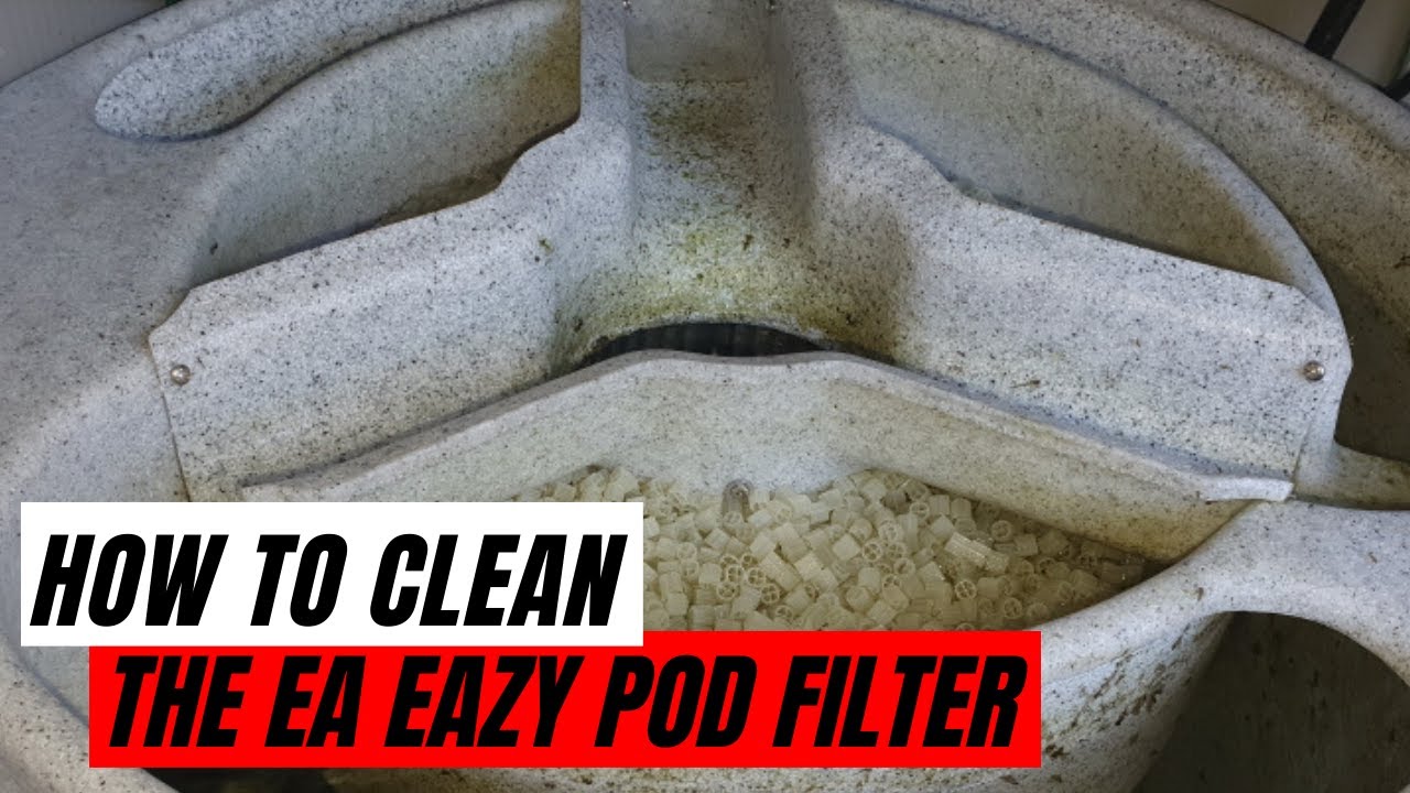 How to clean the EA Eazy Pod koi pond filter (Easy)