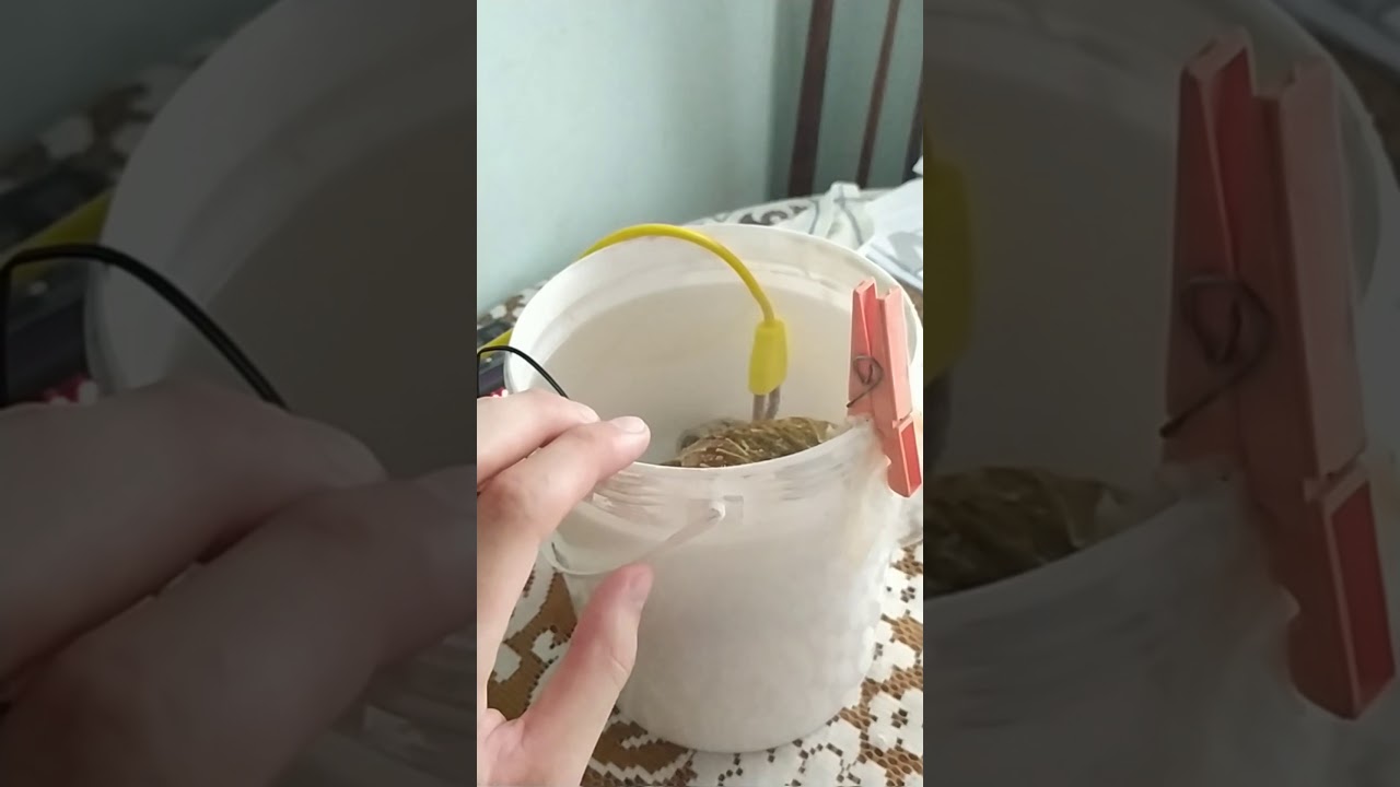 Sous vide casero || fabricar termocirculador casero