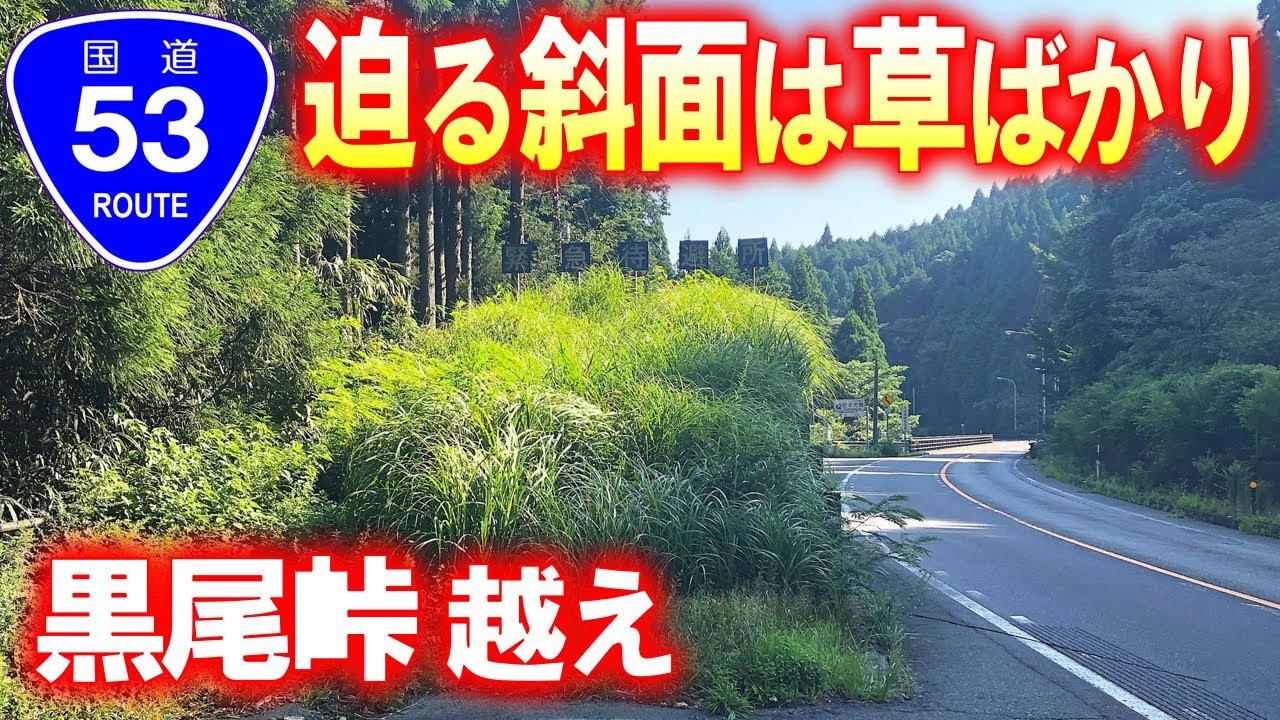 【国道･車載動画】国道53号で黒尾峠越え～2倍速～(鳥取県智頭町→岡山県奈義町)