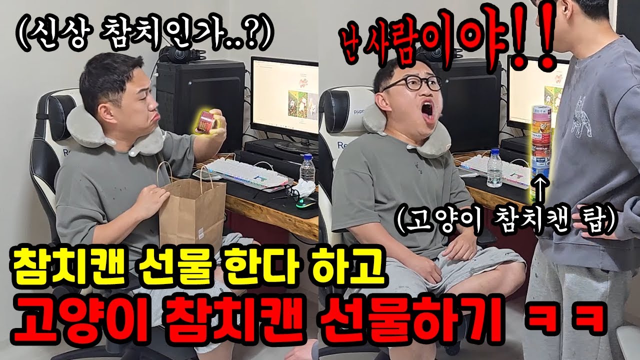 참치캔 선물해 주는 척 고양이 참치캔 선물하기 ㅋㅋ