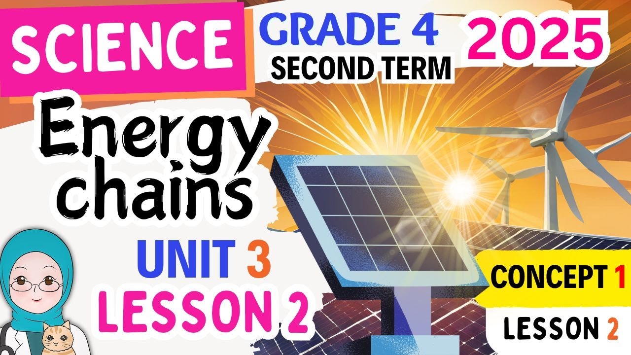 Energy Chains-Science Grade 4-Second Term 2025 Unit-3- Lesson 2 ساينس سنة رابعة المنهج الجديد