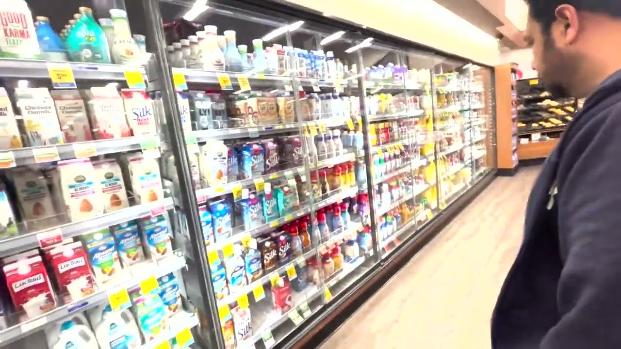 Vlog 0 | Grocery and Errands in Cupertino, California