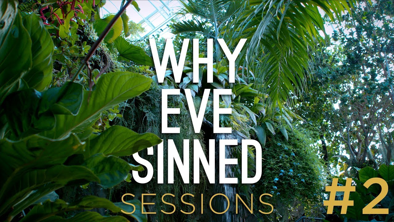 Why Eve Sinned || Session 2 || David Bowden