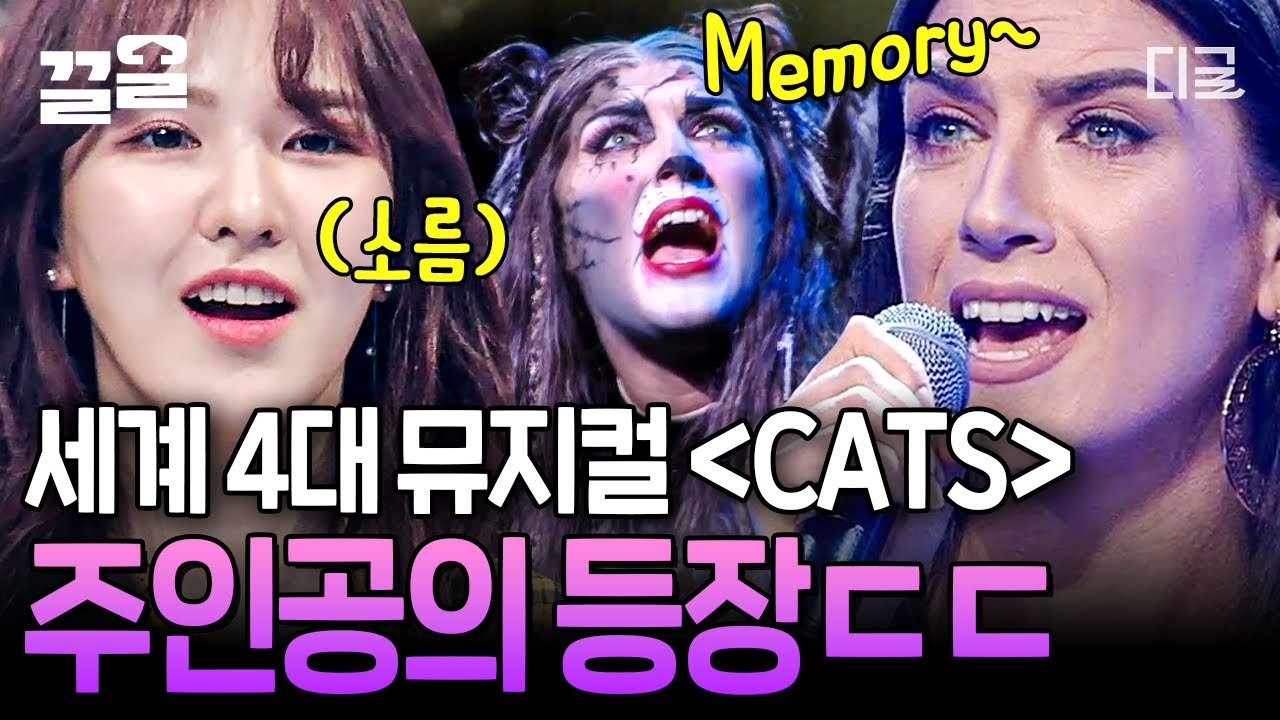 [#너목보5] 세계 4대 뮤지컬 CATS의 진짜 주인공이 눈앞에?! 안방 1열에서 직관하는 캣츠 Memory 이건 귀하다✨