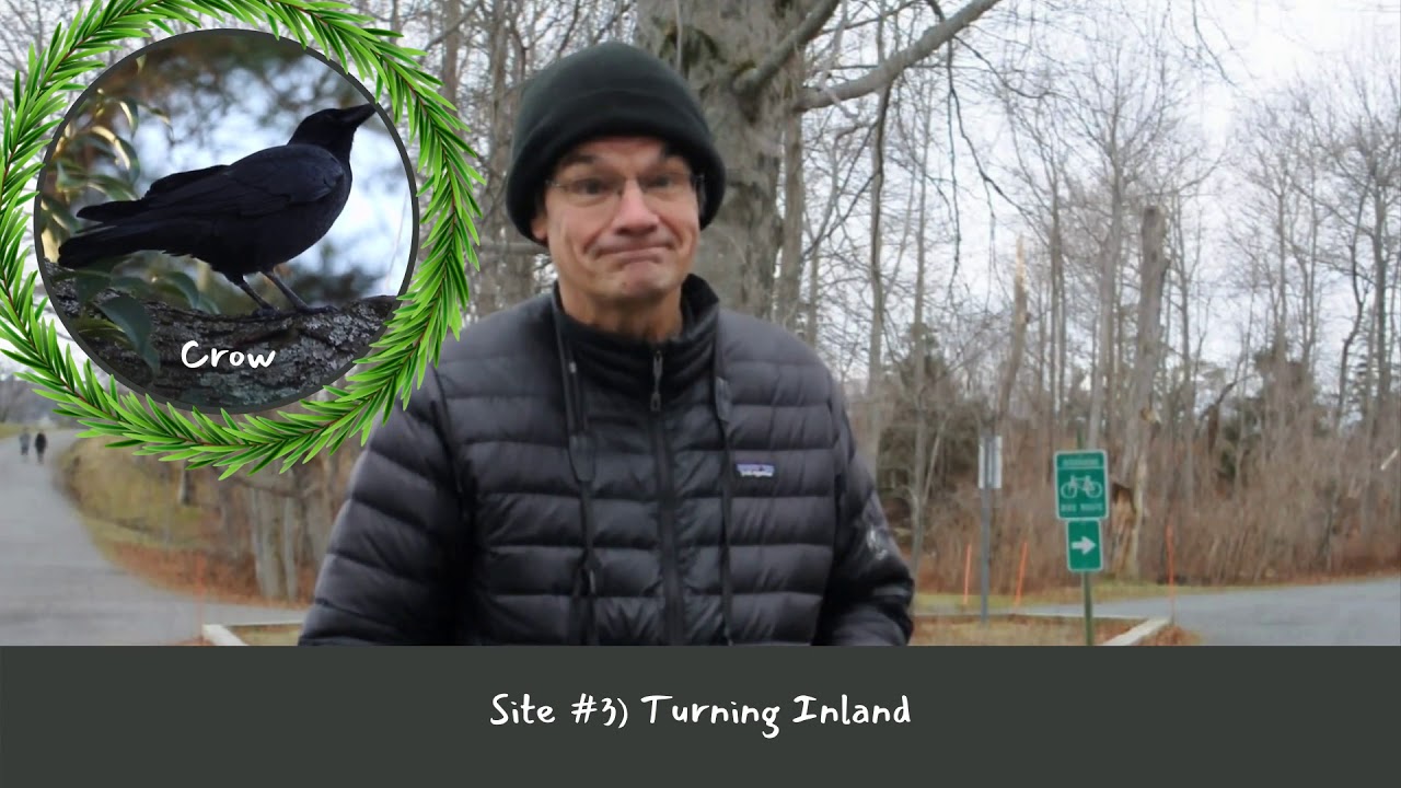 Halifax Xmas Bird Count 4 Kids! Video Tour of Point Pleasant Park
