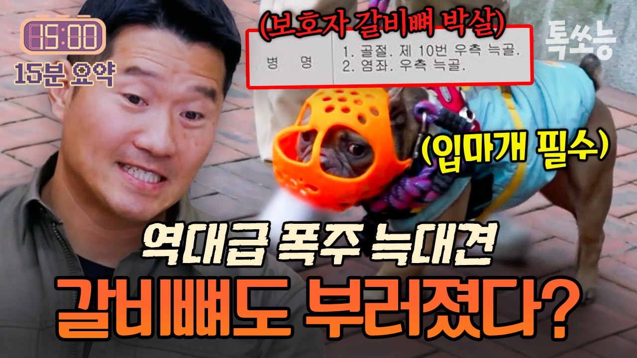 강형욱도 시청 포기?💥 뭔갈 물어야 진정되는 불독.. 하다 못해 보호자 뼈도 부러뜨렸다? | #개와늑대의시간2 10회