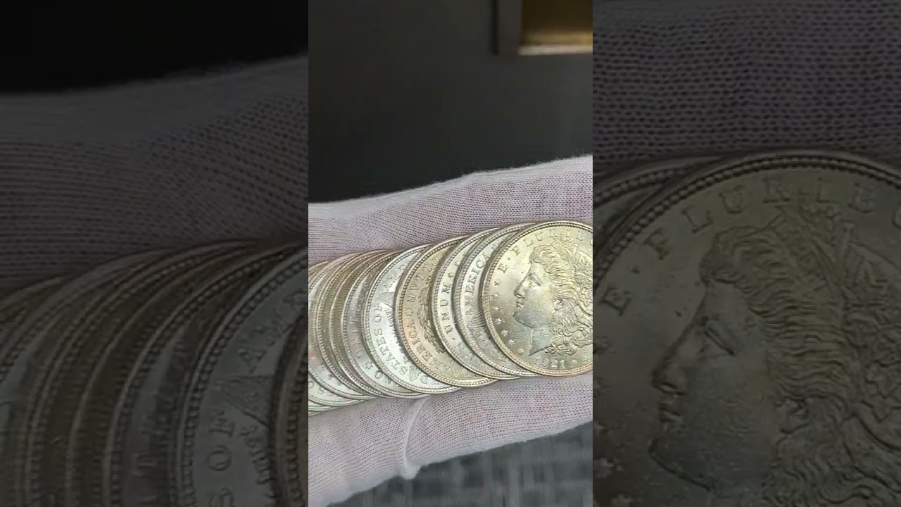 BU Morgan Dollars Up Close &ndash; Pure Silver Beauty! ✨