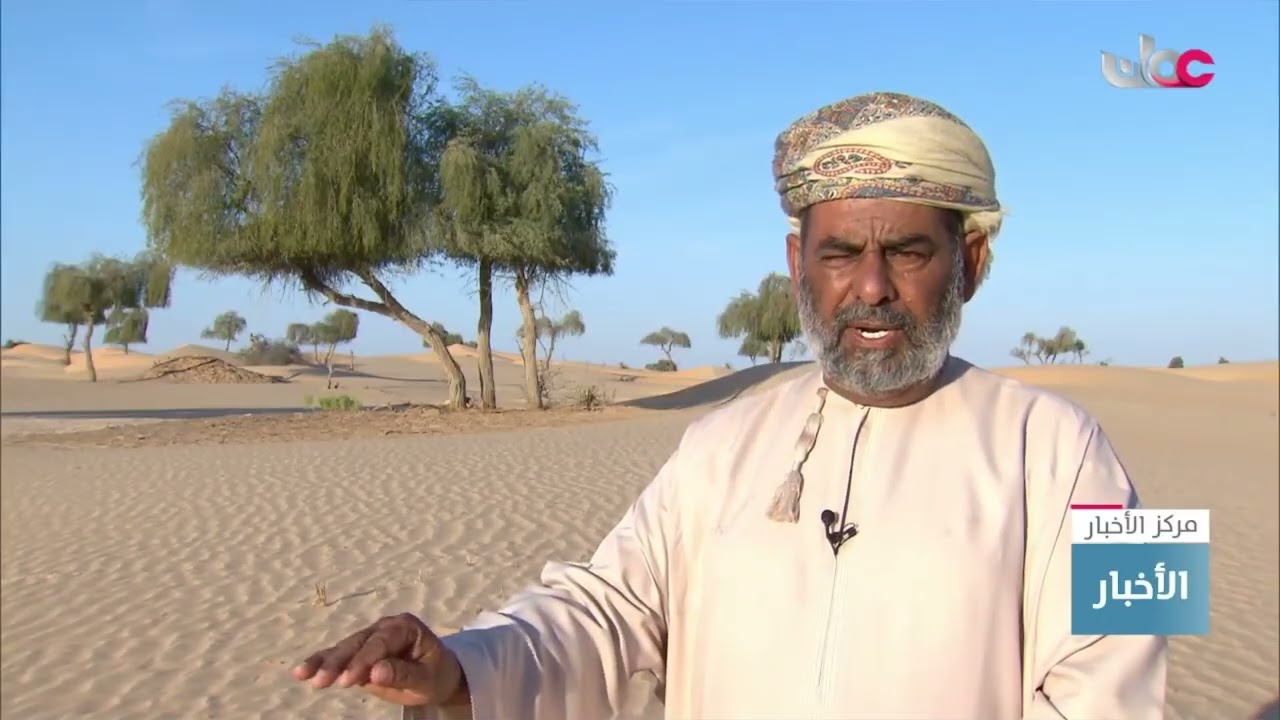 تقرير | علاقة مستدامة بين الإنسان وشجرة الغاف بصحراء نيابة مرسودد في ولاية مقشن