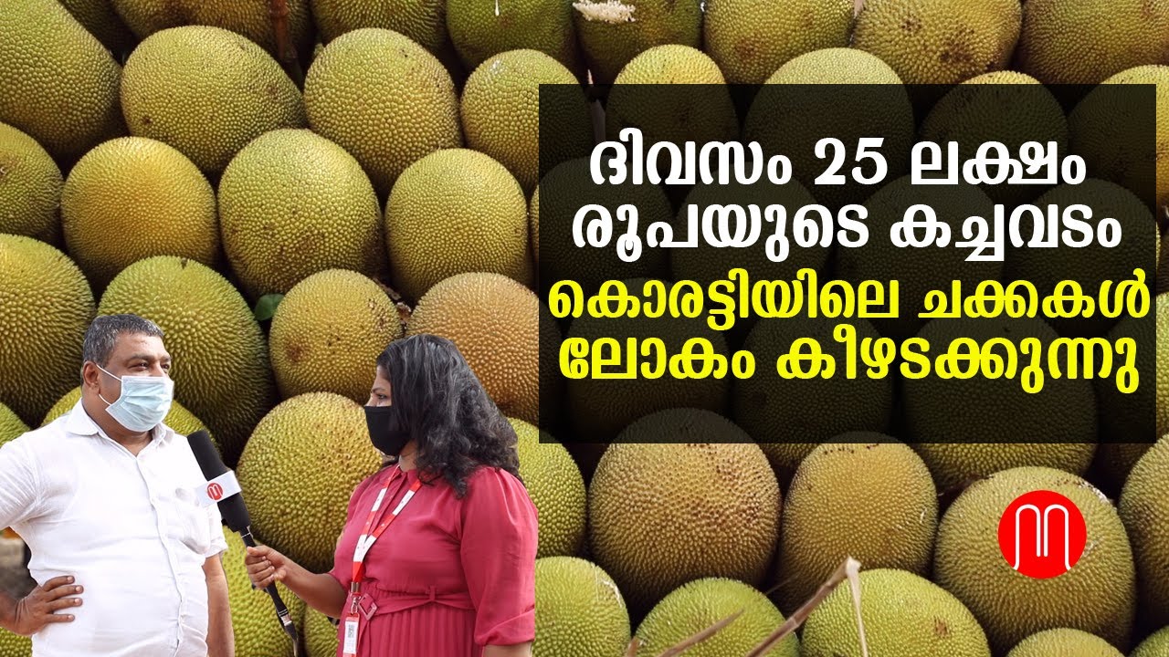 ദിവസം 25 ലക്ഷം രൂപയുടെ കച്ചവടം: കൊരട്ടിയിലെ ചക്കകൾ ലോകം കീഴടക്കുന്നു | Chakka Business | METRO POST