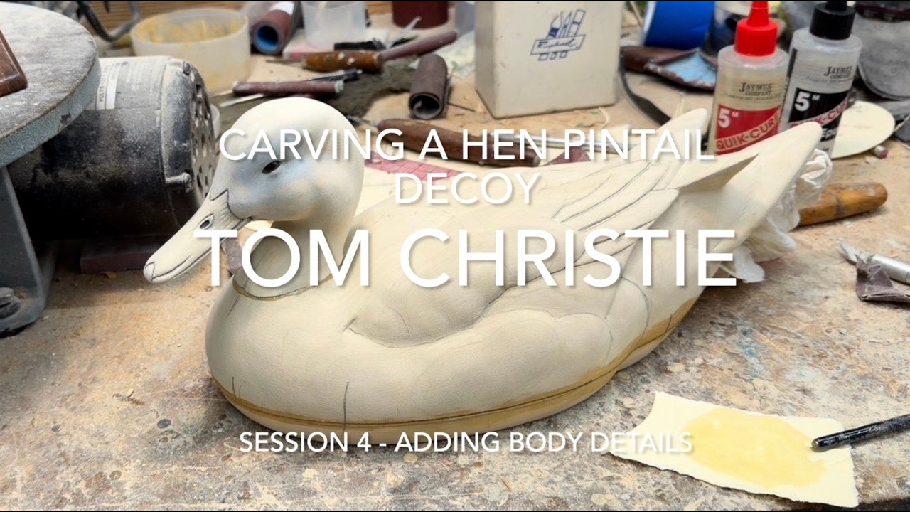 Carving a Hen Pintail Decoy Session 4 - Adding Body Details