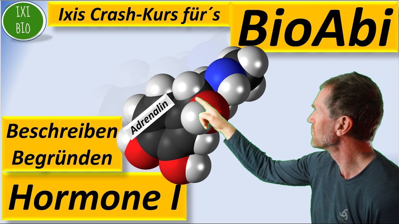 Hormone 1 - Vergleich Peptidhormone und Steroidhormone - Übersicht über Funktionsweise von Hormonen