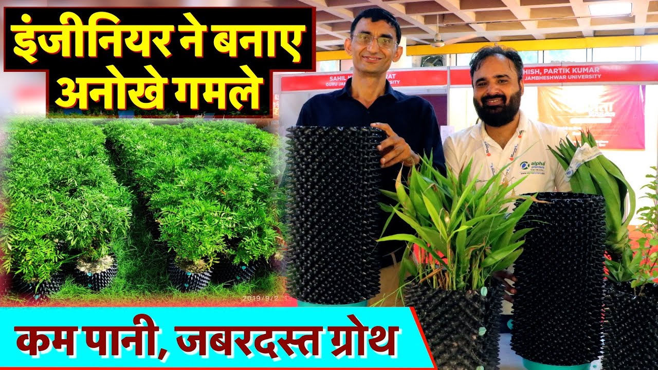 इंजीनियर ने बनाए किचन गार्डन के अनोखे गमले, कम पानी जबरदस्त ग्रोथ Kitchen Rooftop Gardening