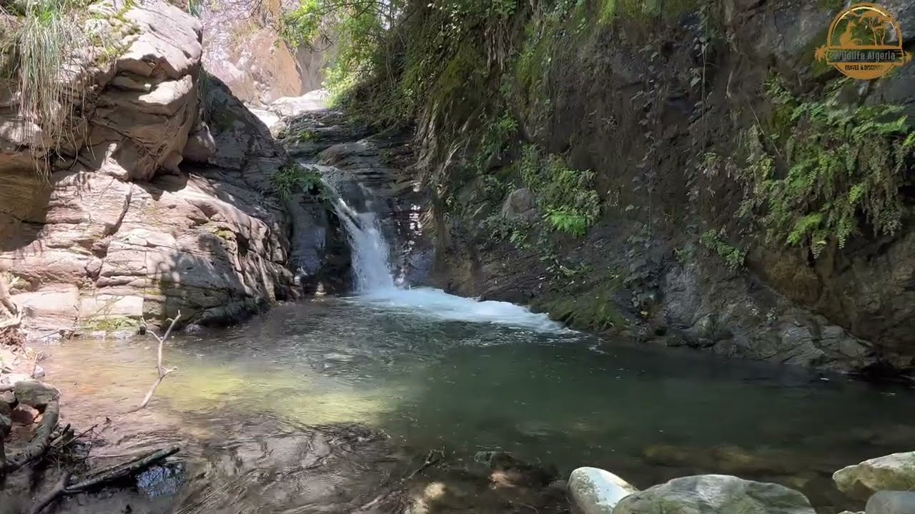 رحلتنا الكاملة إلى 