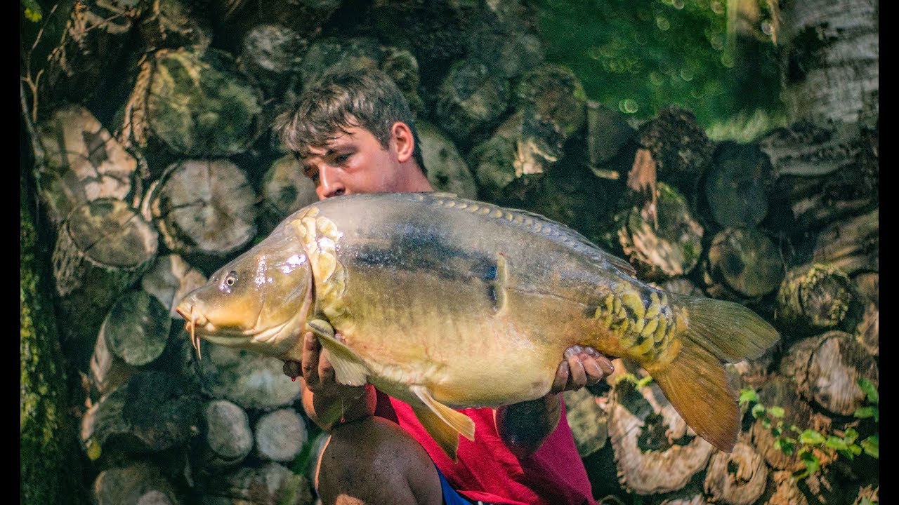 Solar Tackle UK at Michele's Lake in France   The Carp Specialist