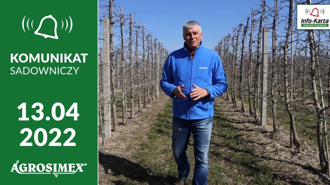 Zabiegi ochrony przed parchem i mączniakiem - komunikat sadowniczy Agrosimex
