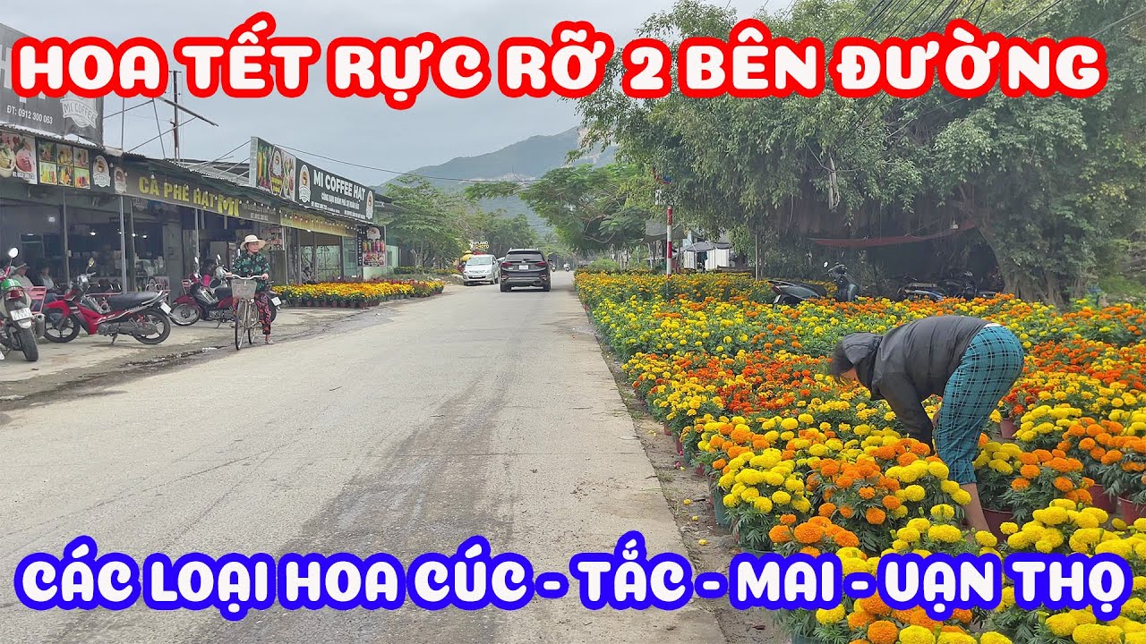 Nha Trang hôm nay sáng 23 tết - đường phố ngập tràn hoa ngày tết ông công ông táo
