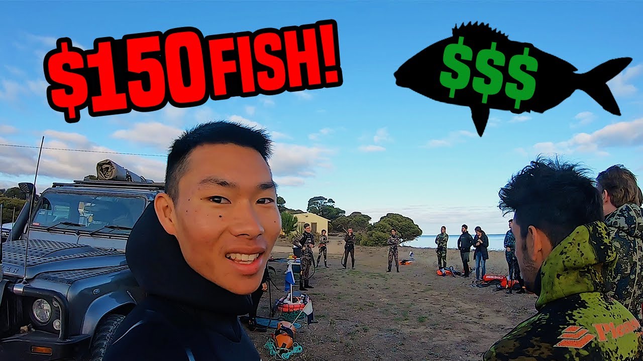 FAILING My First Ever SPEARFISHING Competition...