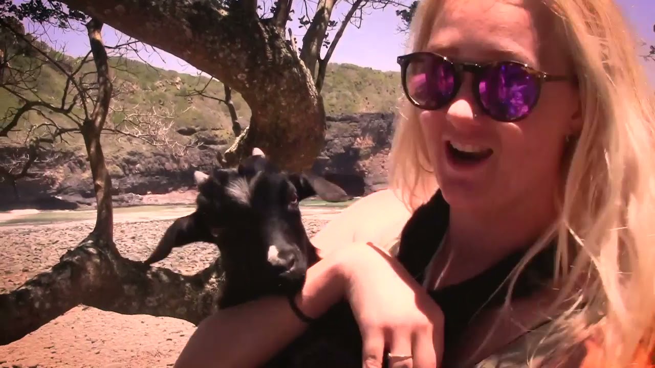 Freedom O Clock Backpackers, Mdumbi Accommodation, Wild Coast Accommodation.