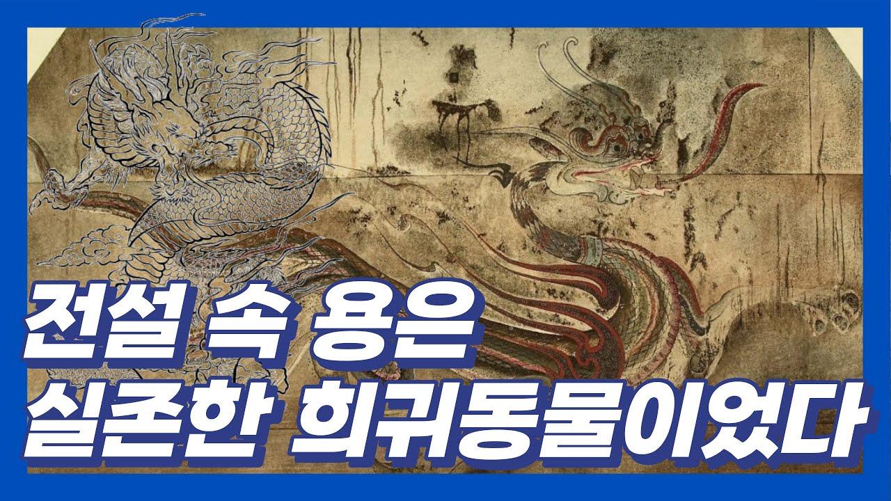 용에 관한 재미있는 이야기/ 용은 과연 실존했던 동물일까?