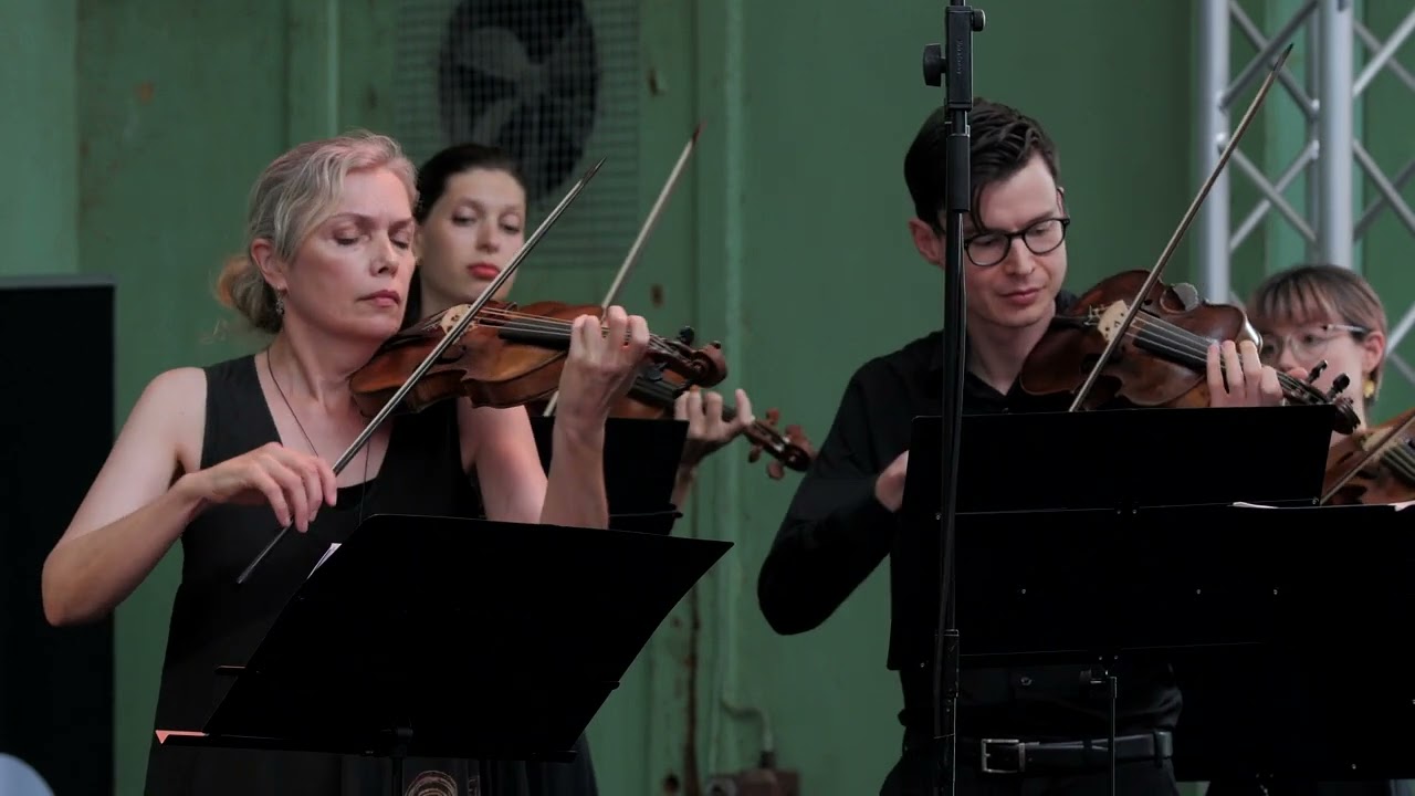 Telemann &ndash; Concerto di Camera in G Minor (Allegro)