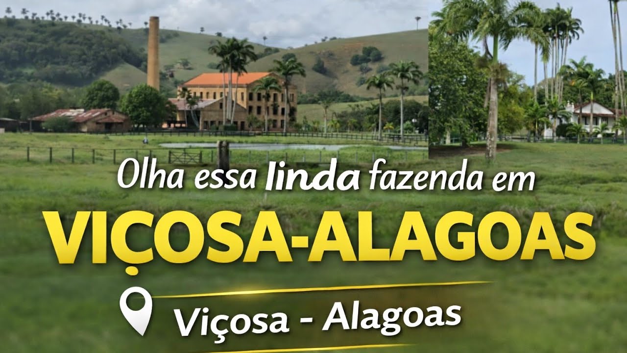 Dia De Feira Livre Em Viçosa-Alagoas 