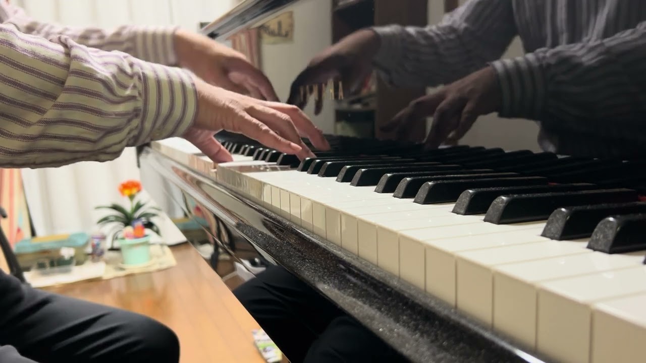 【ピアノ演奏】めぐり逢い/アンドレギャニオン
